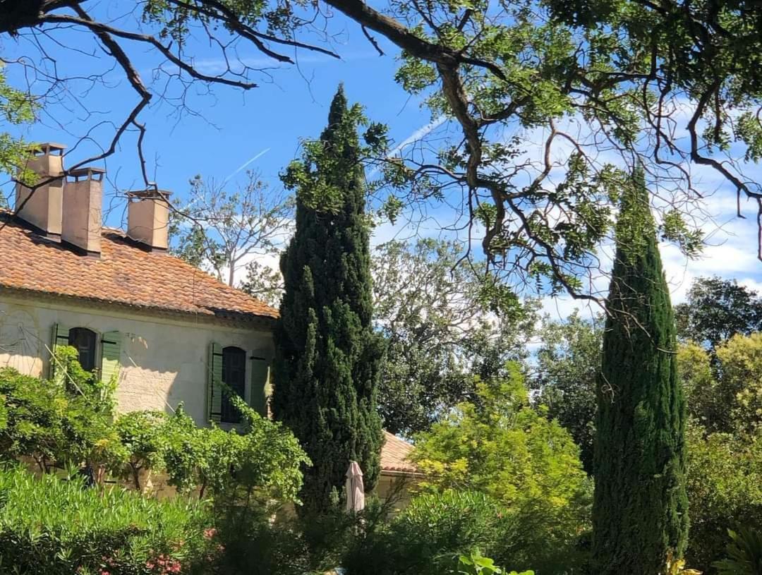 Le Mas Neuf 1752 Arles Exteriér fotografie