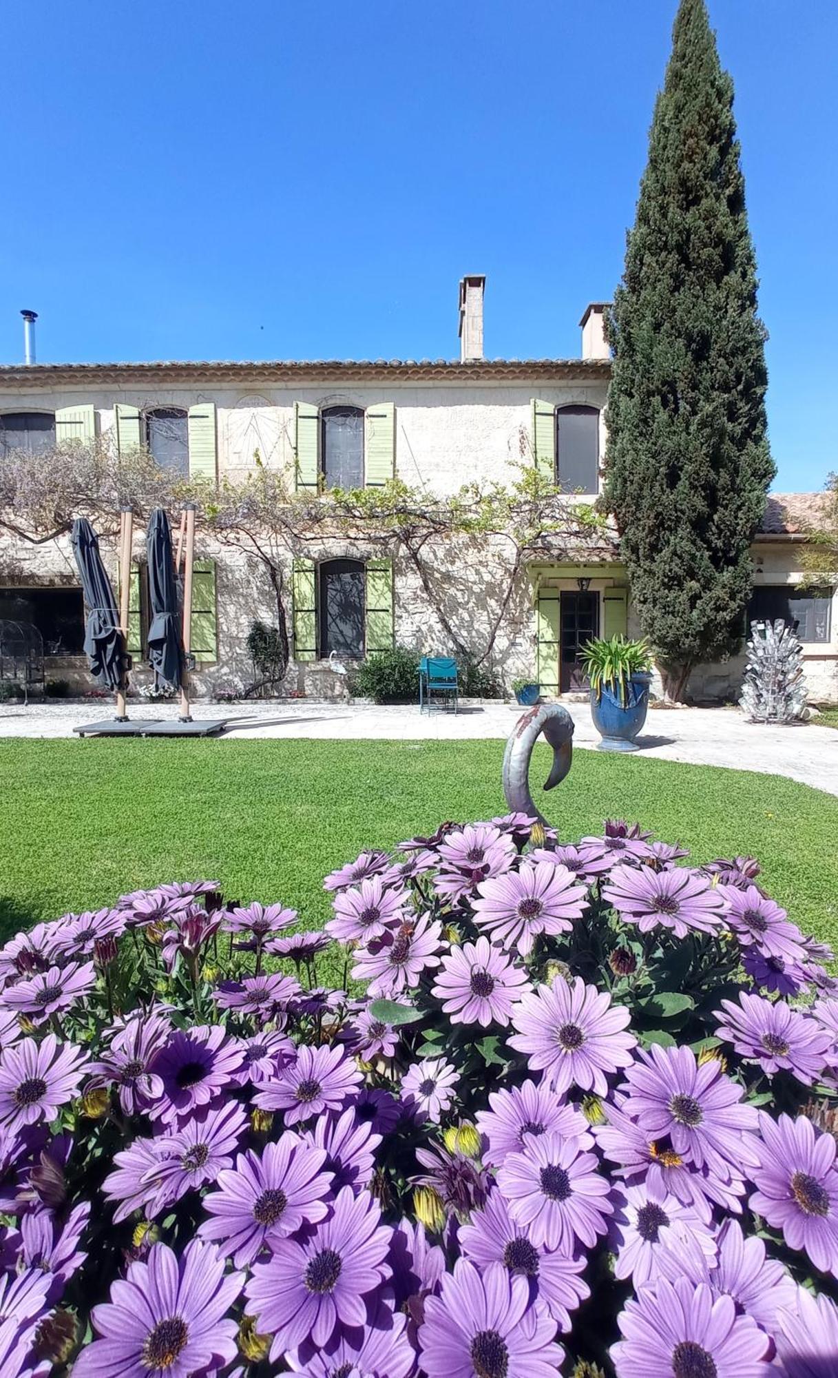 Le Mas Neuf 1752 Arles Exteriér fotografie
